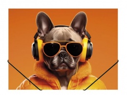 Gumis mappa, 15 mm, PP, A4, PANTA PLAST, "Cool dog"